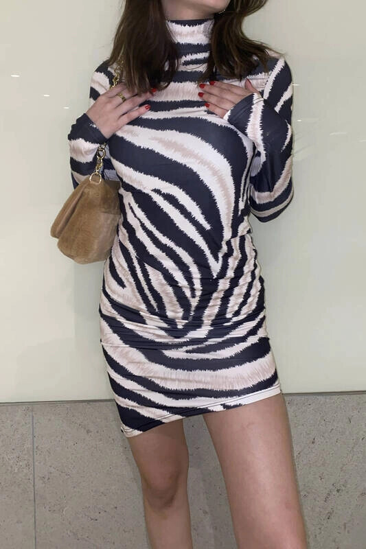 Kadın Zebra Boğazlı Desenli Elbise (zck0424)